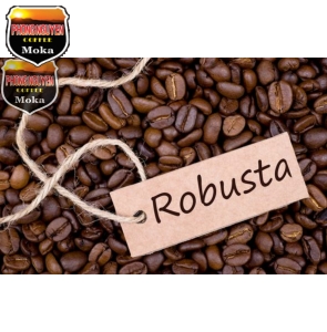 Robusta sàn 18