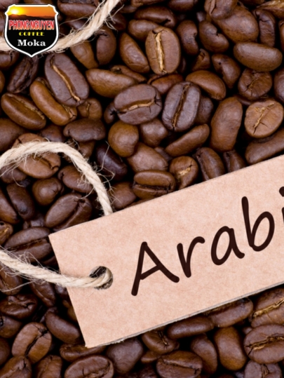 Arabica sàn 18