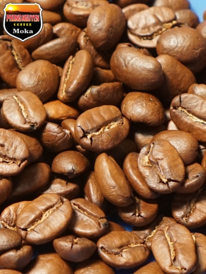 Arabica sàn 18