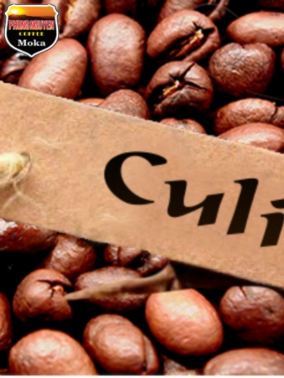 Culi sàn 18