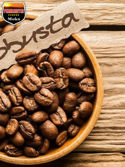 Robusta sàn 18