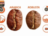 Sự khác biệt giữa Robusta-Arabica